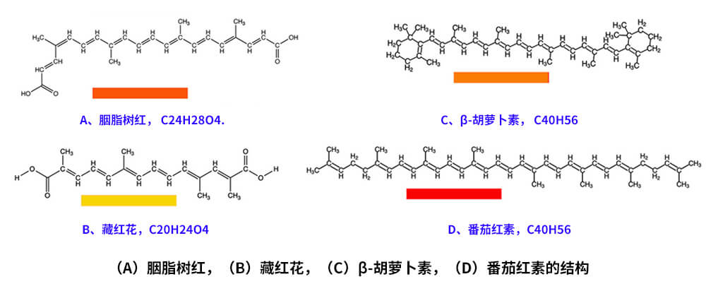 藏紅花、胭脂樹紅、β-胡蘿卜素、番茄紅素的化學(xué)結(jié)構(gòu)